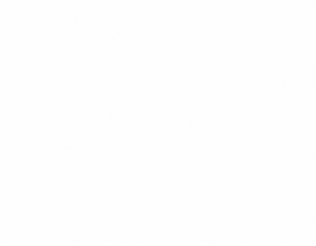Chiffre d'affaires (1)